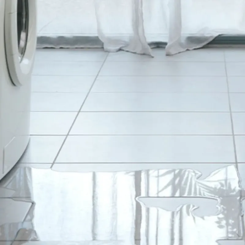 Appliance Leak Cleanup in Chanute, KS