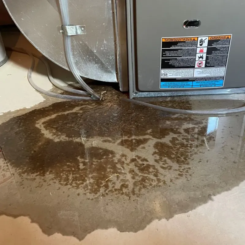 Pipe Burst and Leak Restoration in Chanute, KS