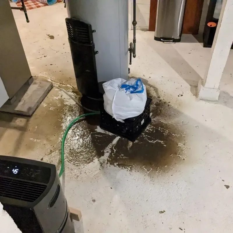 Sewage Backup Cleanup Service in Chanute, KS